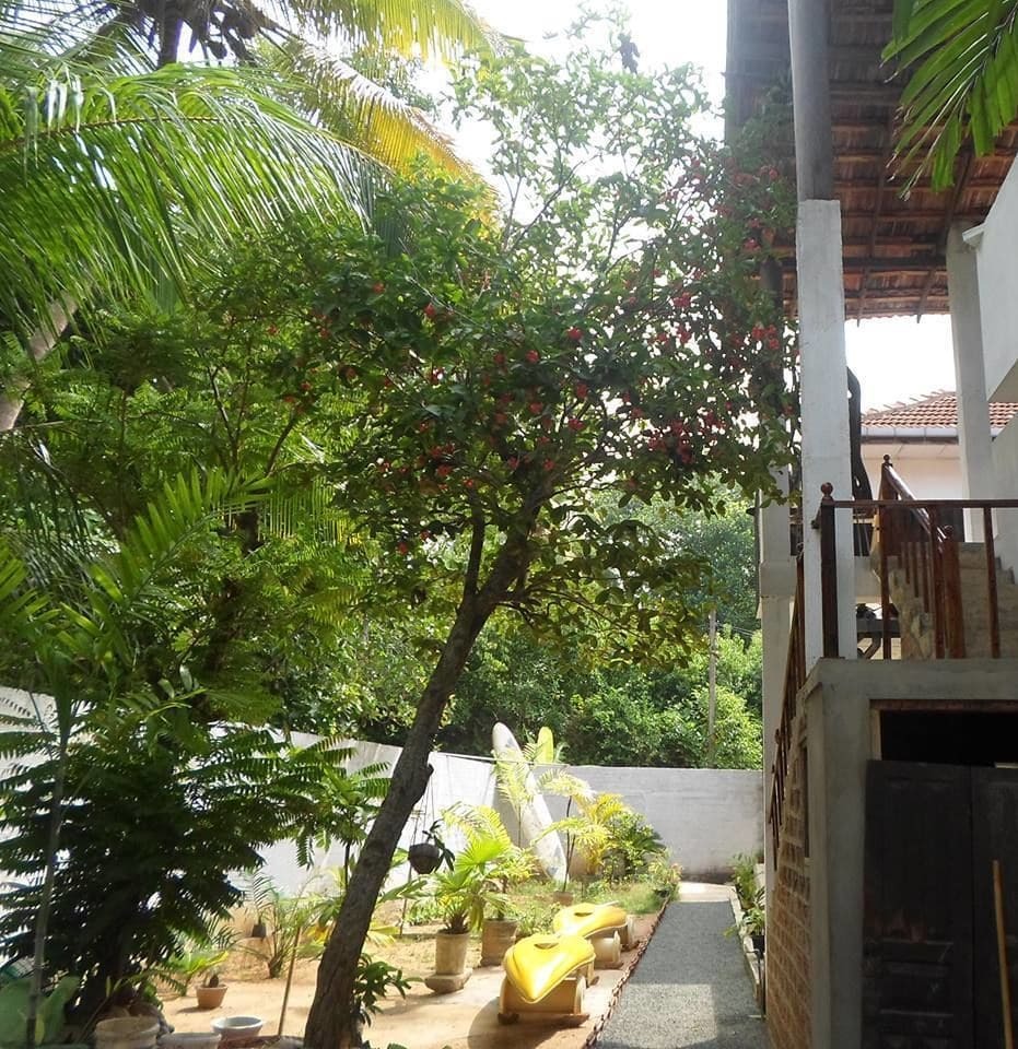 Heritage Villa Hikkaduwa Exterior photo